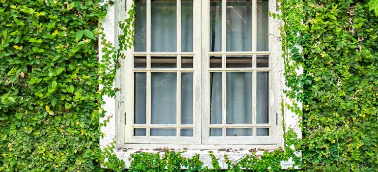 Garden Window Repair Near Me in Pensacola, FL