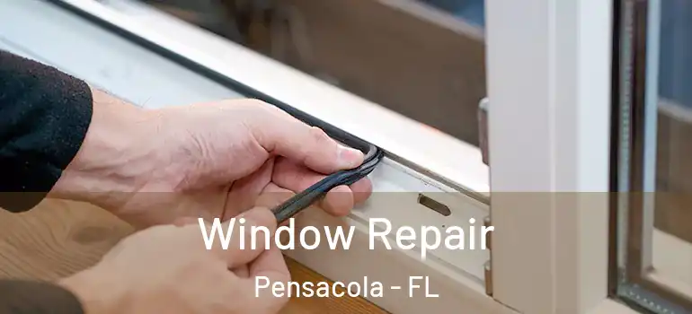  Window Repair Pensacola - FL